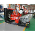 Gas Generator for Natural Gas and Biogas with Ce Certificate